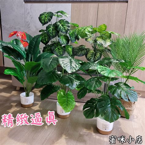 室內假植物|仿真盆栽｜優惠推